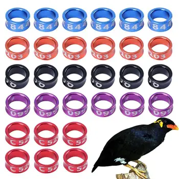 Ремешки для ног птиц, закрытые кольца для идентификации птиц из сплава, Принадлежности для идентификации птиц из Гальванического сплава для попугаев и Голубей